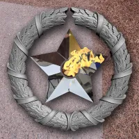 Венок вечный огонь чугун звезда нержавеющая сталь в Сургуте (518577)
