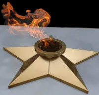 Звезда ø 800 мм. (1631) сертификат комплект горелка ГВД 379 10 89 00 ПС вечный огонь пустотелая  в Сургуте