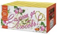 Салют Салют да любовь ЕС553 купить от производителя ФейерЛэнд — Сургут